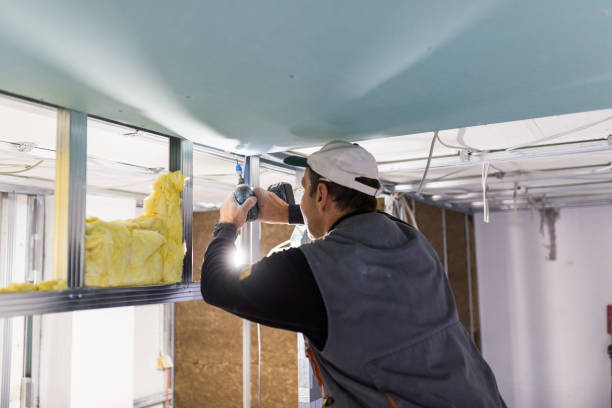 Best Insulation Materials and Products in Nneconne, WI