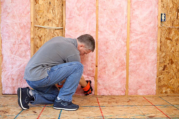 Best Insulation Maintenance and Repair in Nneconne, WI