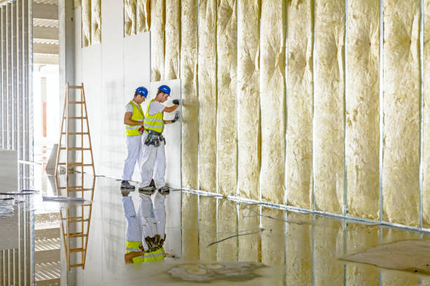 Best Specialty Insulation in Nneconne, WI